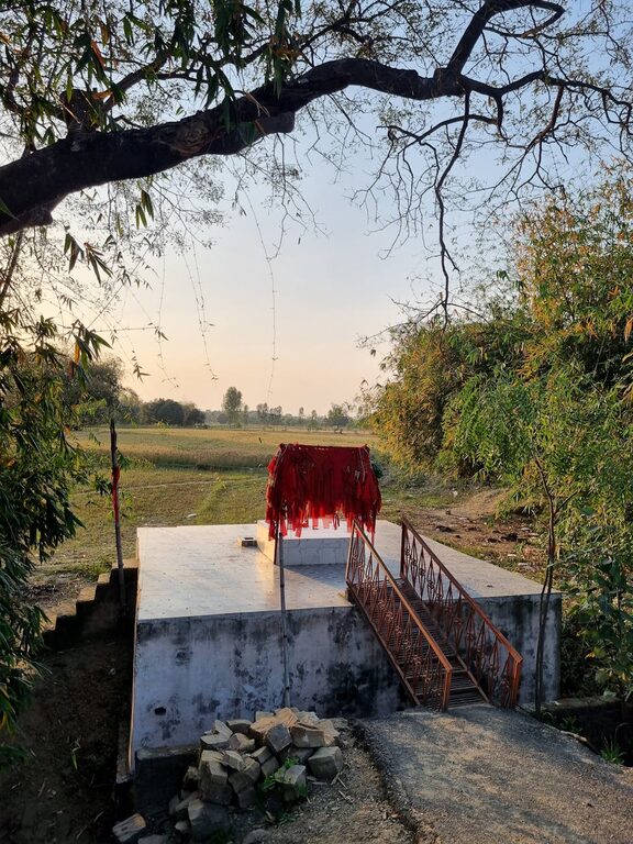 Simple Ways to Make Mornings More Mindful and Enjoyable